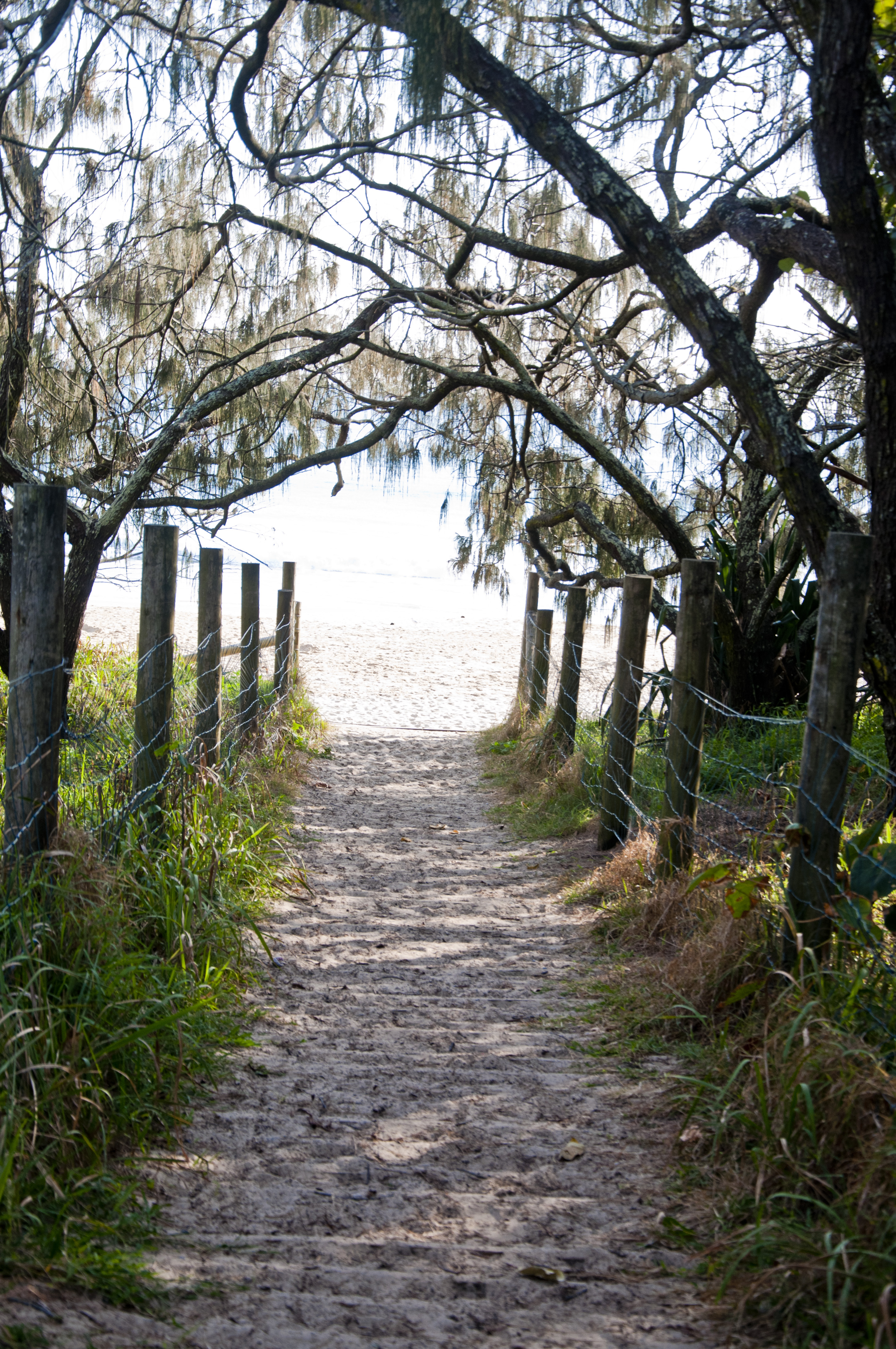 Mooloolaba17©jenhammer