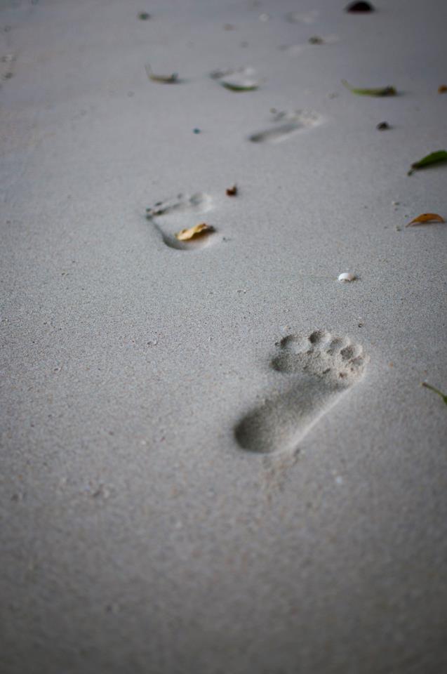 19223_10151176648780989_768626962_n