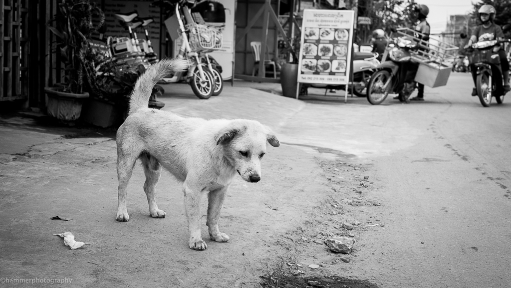 cambodia (1 of 1)-7