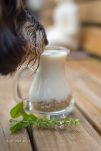 stanleybear (1 of 1)-12