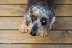 stanleybear (1 of 1)-21